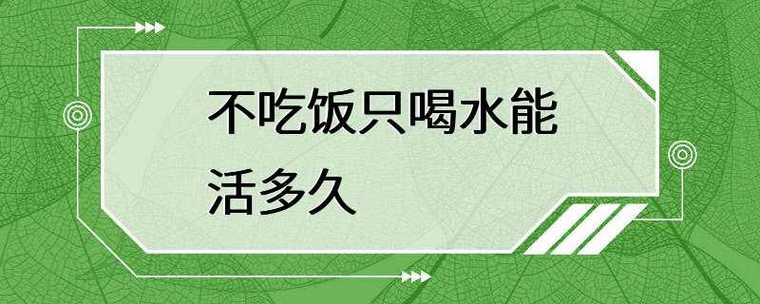 生命中的13天攻略,生命中的13天汉化版-第3张图片-多林游戏 生命中的13天攻略,生命中的13天汉化版-第3张图片-多林游戏