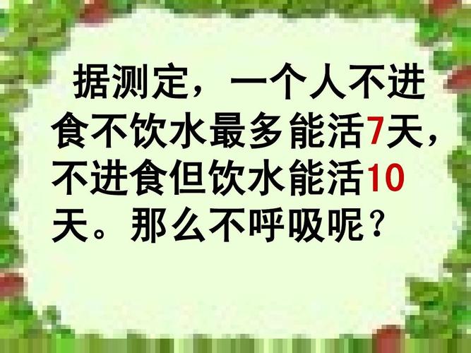 生命中的13天攻略,生命中的13天汉化版-第4张图片-多林游戏 生命中的13天攻略,生命中的13天汉化版-第4张图片-多林游戏