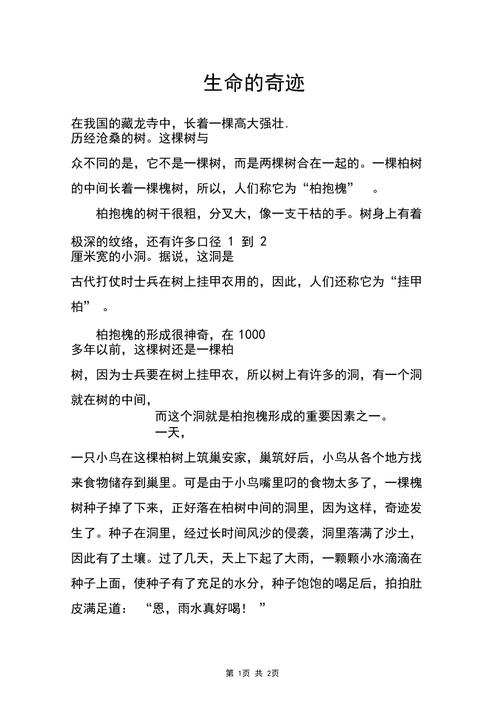 生命中的13天攻略,生命中的13天汉化版-第5张图片-多林游戏 生命中的13天攻略,生命中的13天汉化版-第5张图片-多林游戏